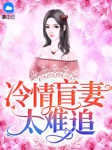 冷情盲妻太难追