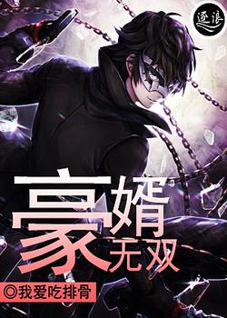 豪婿无双