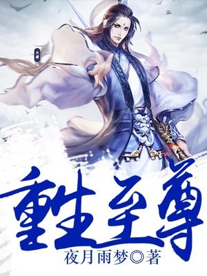 成为皇子的小妾后