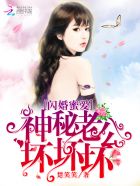 西北龙魂