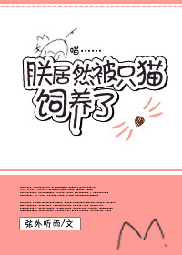 重返2011年