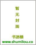 齐帕先生